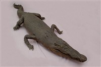 Saltwater crocodile Collection Image, Figure 9, Total 13 Figures